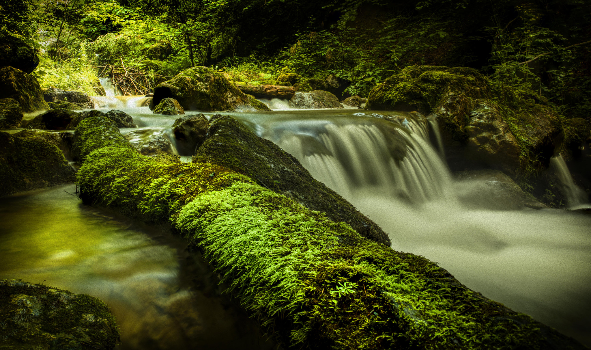 Canon EF 24-70mm F4L IS USM sample photo. Moss iii photography