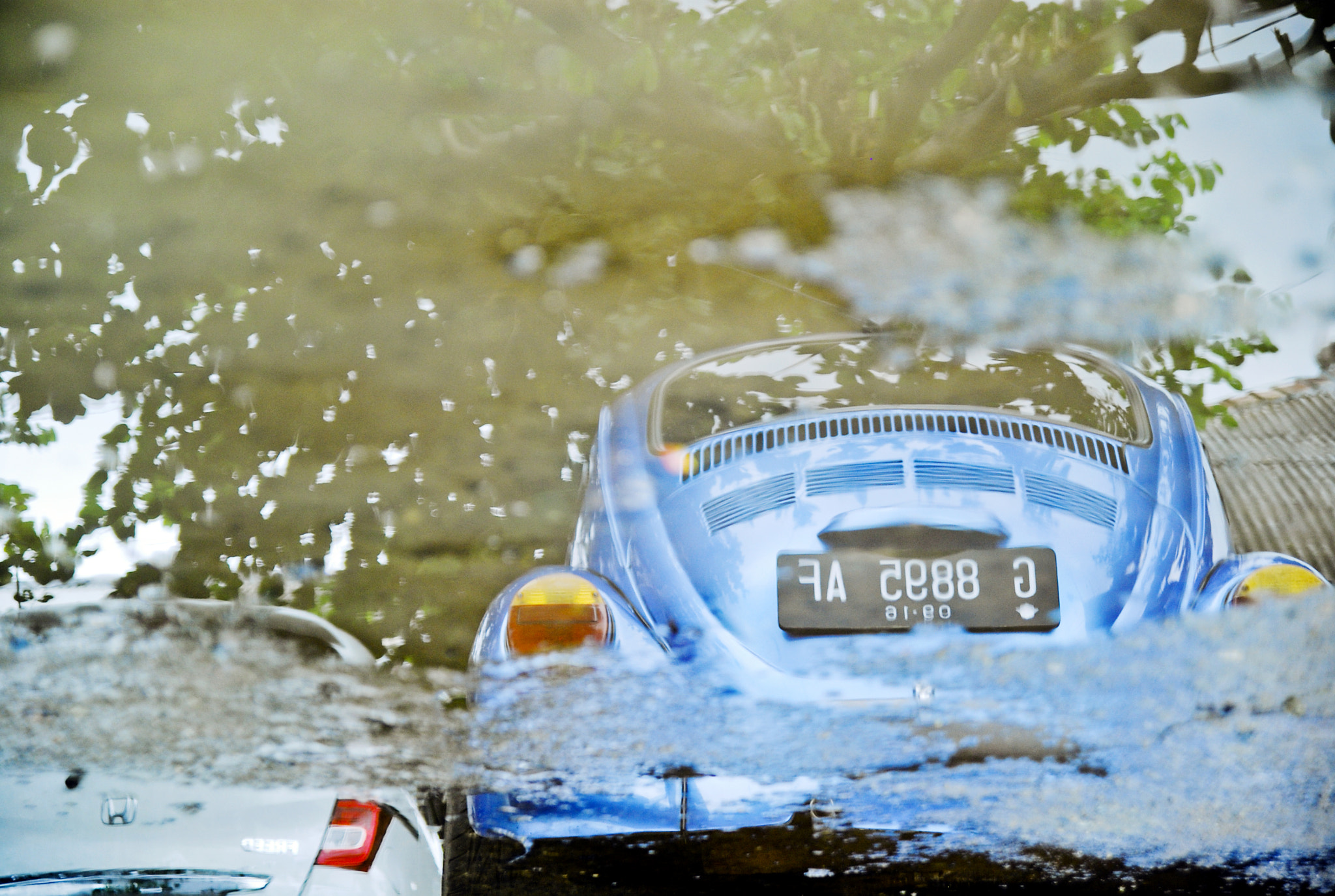 Nikon D200 sample photo. Volkswagen photography