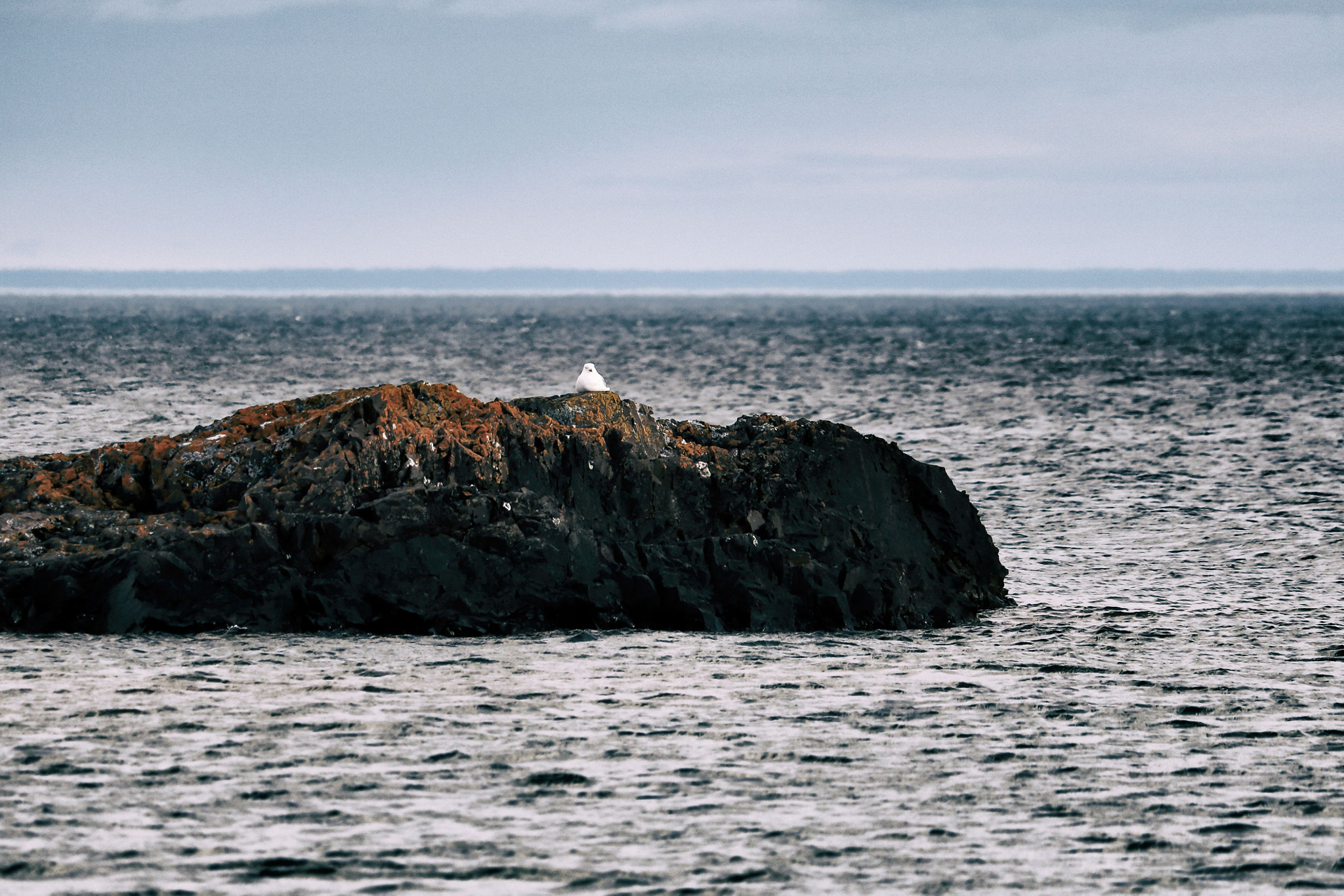 Canon EF-S 55-250mm F4-5.6 IS STM sample photo. North shore photography