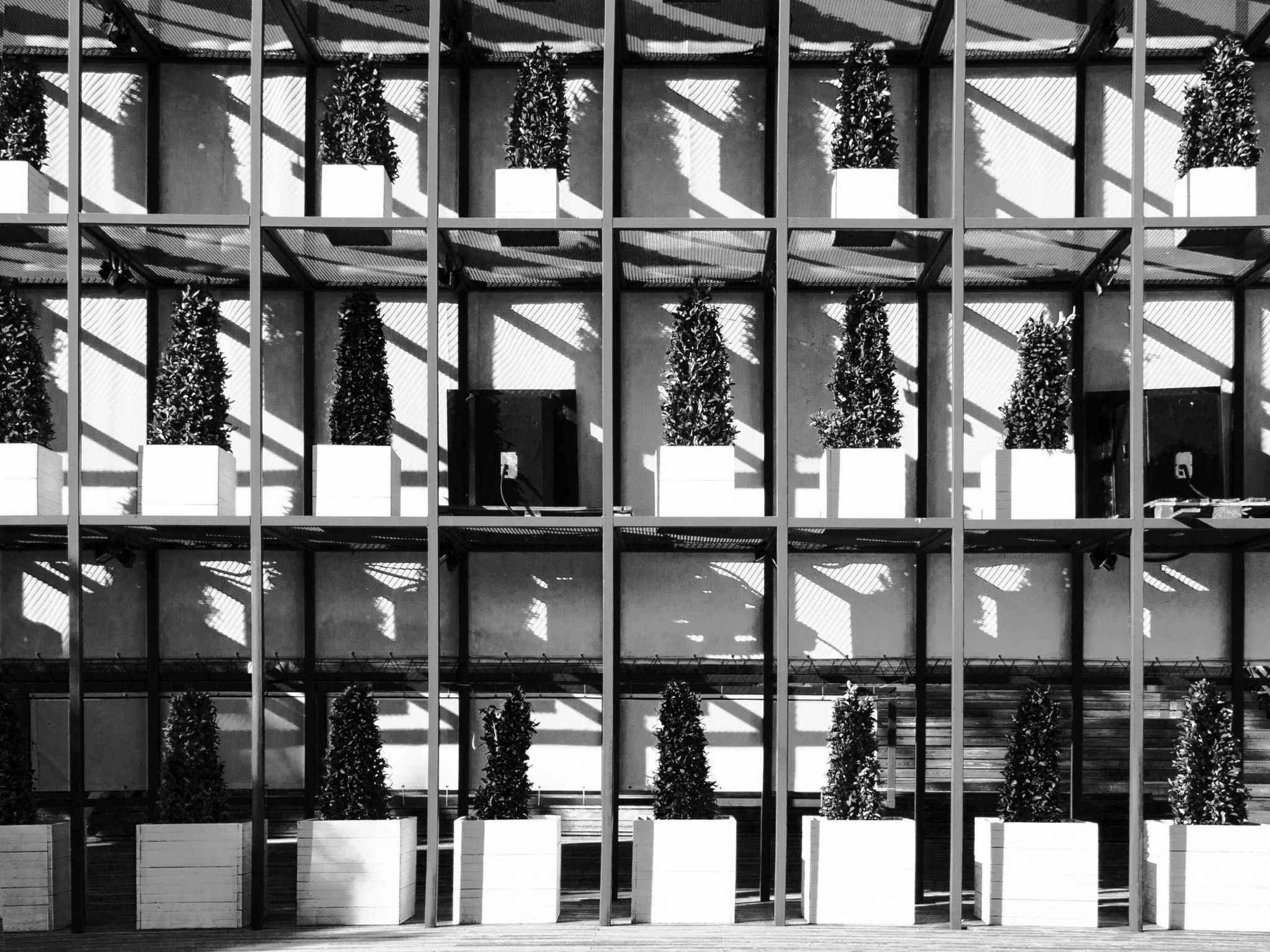 SIGMA 18-50mm F2.8 DC sample photo. Park symmetry photography
