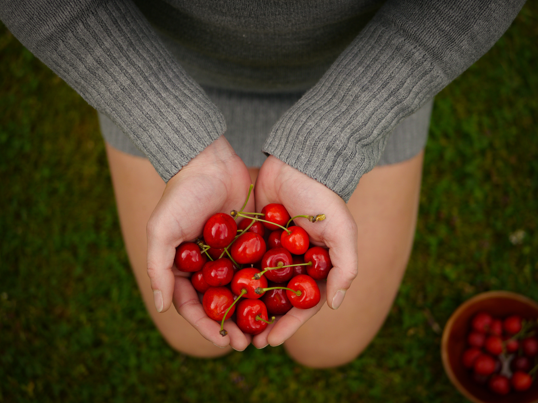 Panasonic Lumix DMC-G5 + LUMIX G 25/F1.7 sample photo. Hold the cherries photography