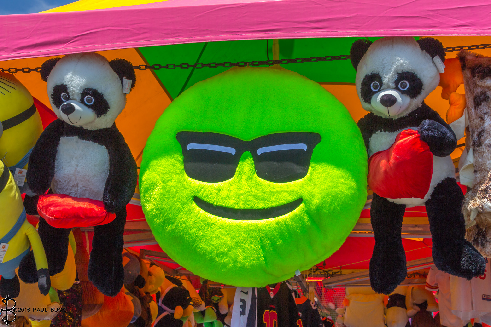 Canon EOS 650D (EOS Rebel T4i / EOS Kiss X6i) sample photo. Sd county fair color explosions 4 photography