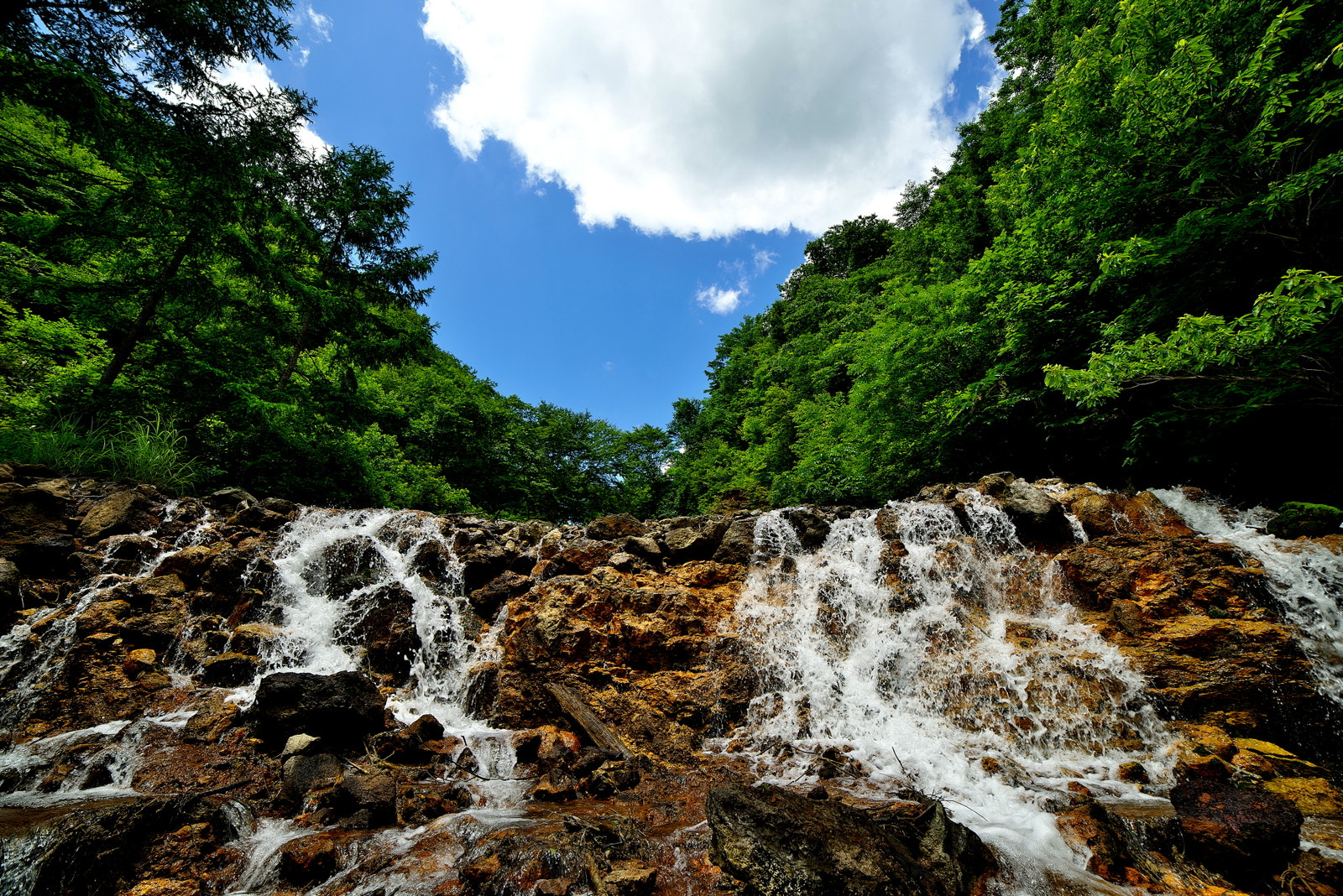 14mm F/2.8-1.4 D sample photo. Tom_0434.jpg photography
