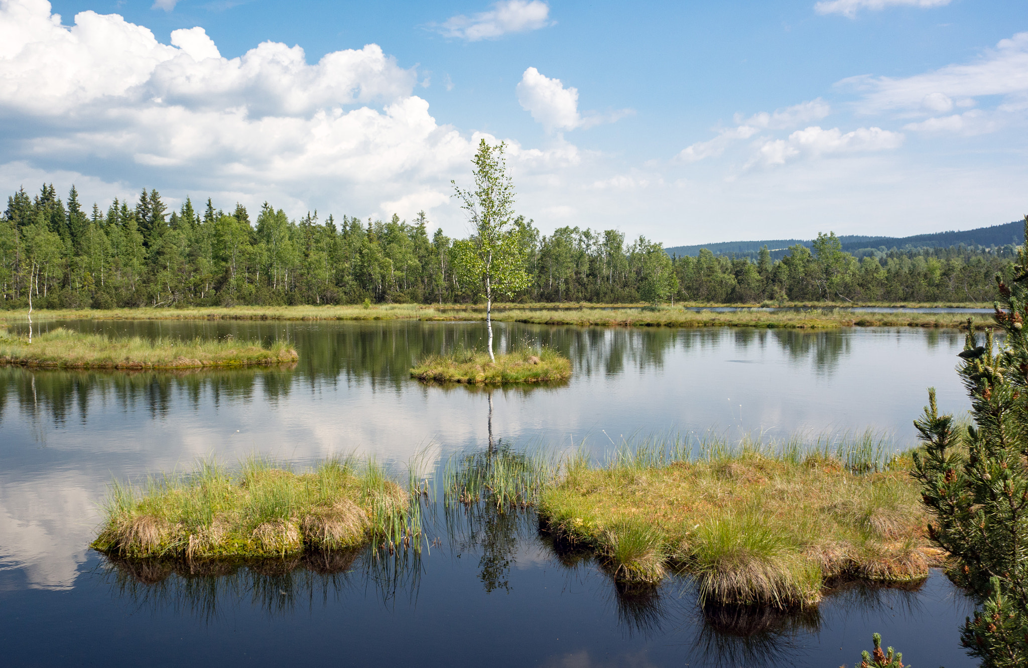 Olympus OM-D E-M10 II + Olympus M.Zuiko Digital 17mm F2.8 Pancake sample photo. Šumava photography