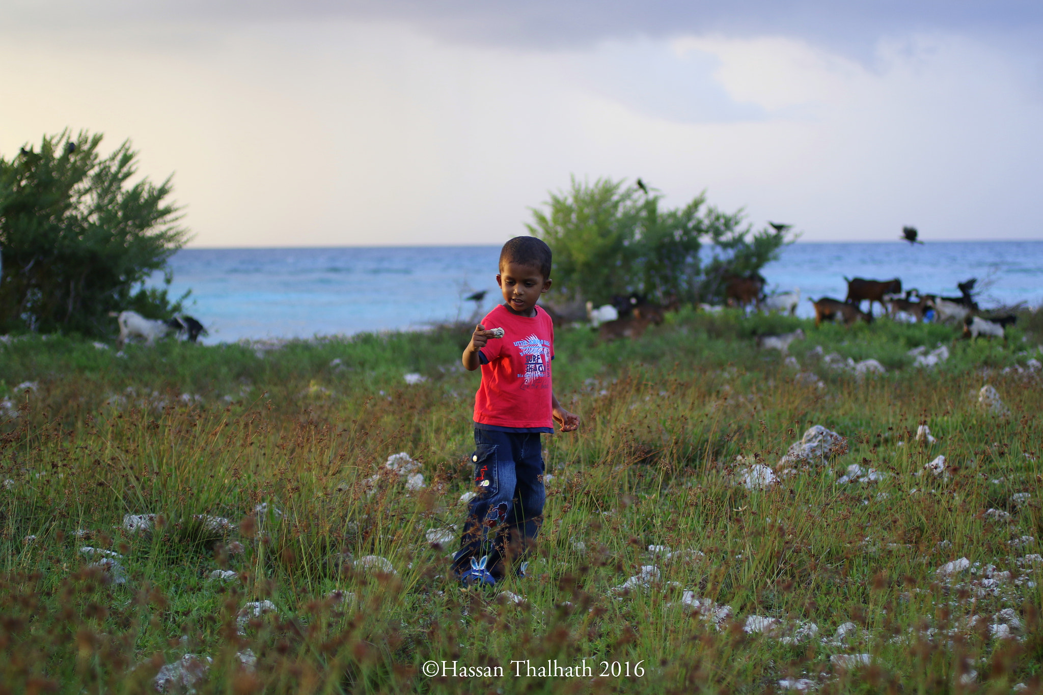 Canon EF 50mm F2.5 Macro sample photo. My little explorer photography