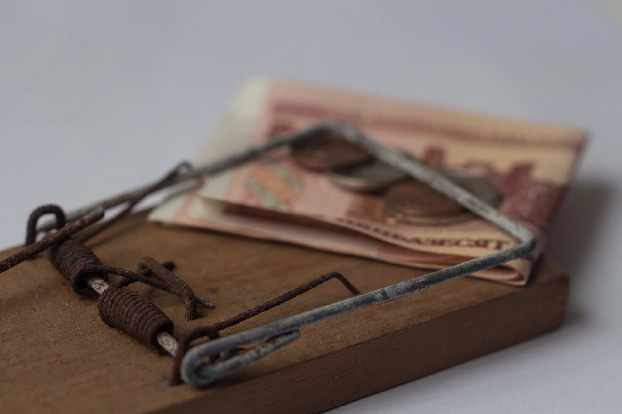 Canon EF 100mm F2.8L Macro IS USM sample photo. Trapper money photography