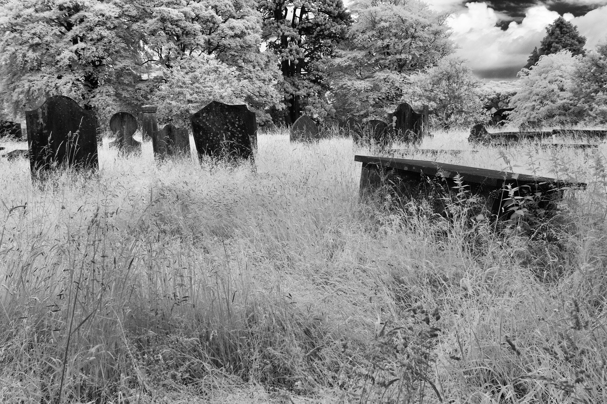 Canon EOS 1200D (EOS Rebel T5 / EOS Kiss X70 / EOS Hi) + Canon EF 17-40mm F4L USM sample photo. Abandoned graveyard photography