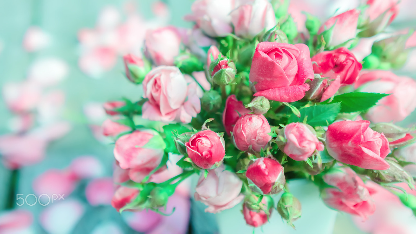 Canon EOS 550D (EOS Rebel T2i / EOS Kiss X4) + Canon EF 24-70mm F2.8L USM sample photo. Bouquet of fresh roses in a vase photography