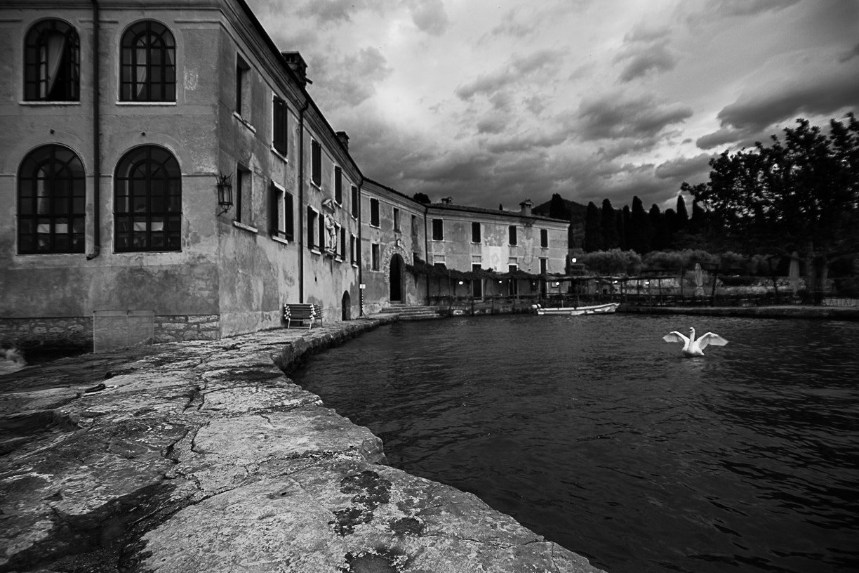 Canon EF-S 17-85mm F4-5.6 IS USM sample photo. Punta san vigilio photography