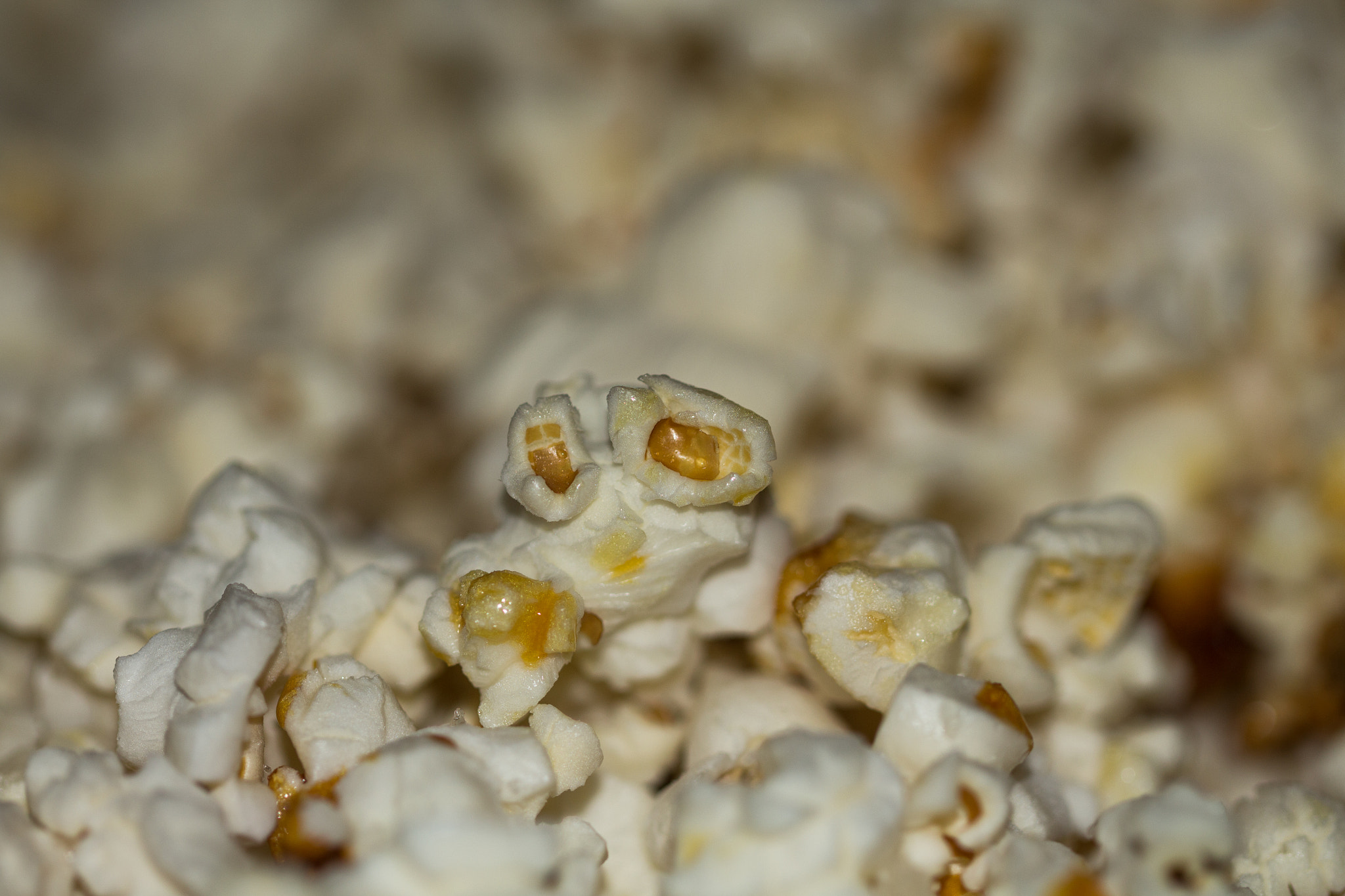 Canon EF 100mm F2.8L Macro IS USM sample photo. Popcorn photography