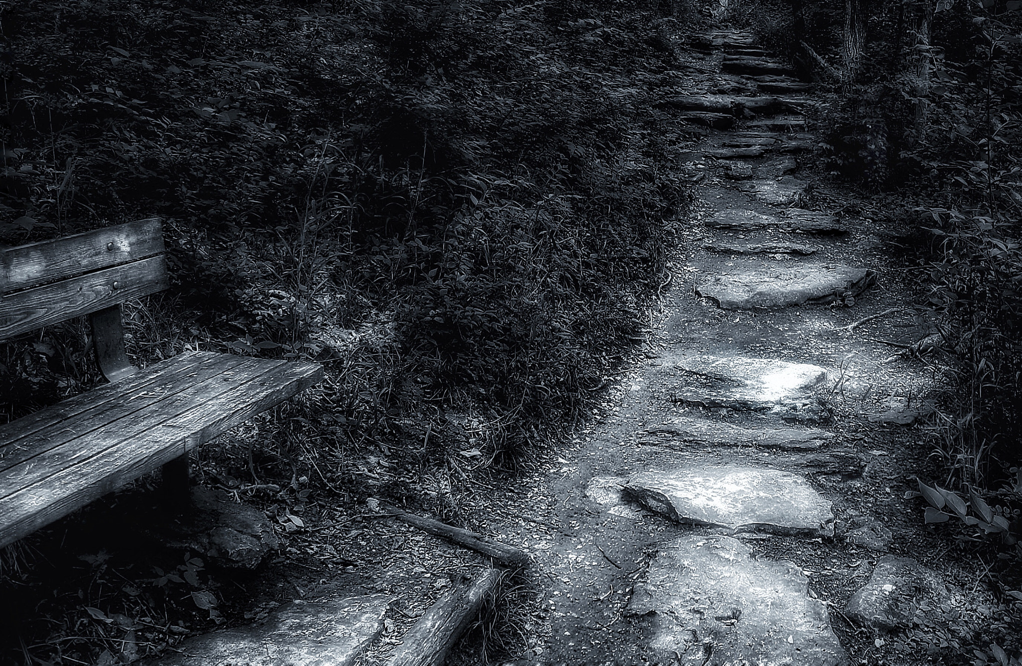 Canon EOS 1000D (EOS Digital Rebel XS / EOS Kiss F) + Canon EF-S 18-55mm F3.5-5.6 IS sample photo. Old stone path on the mountain side photography