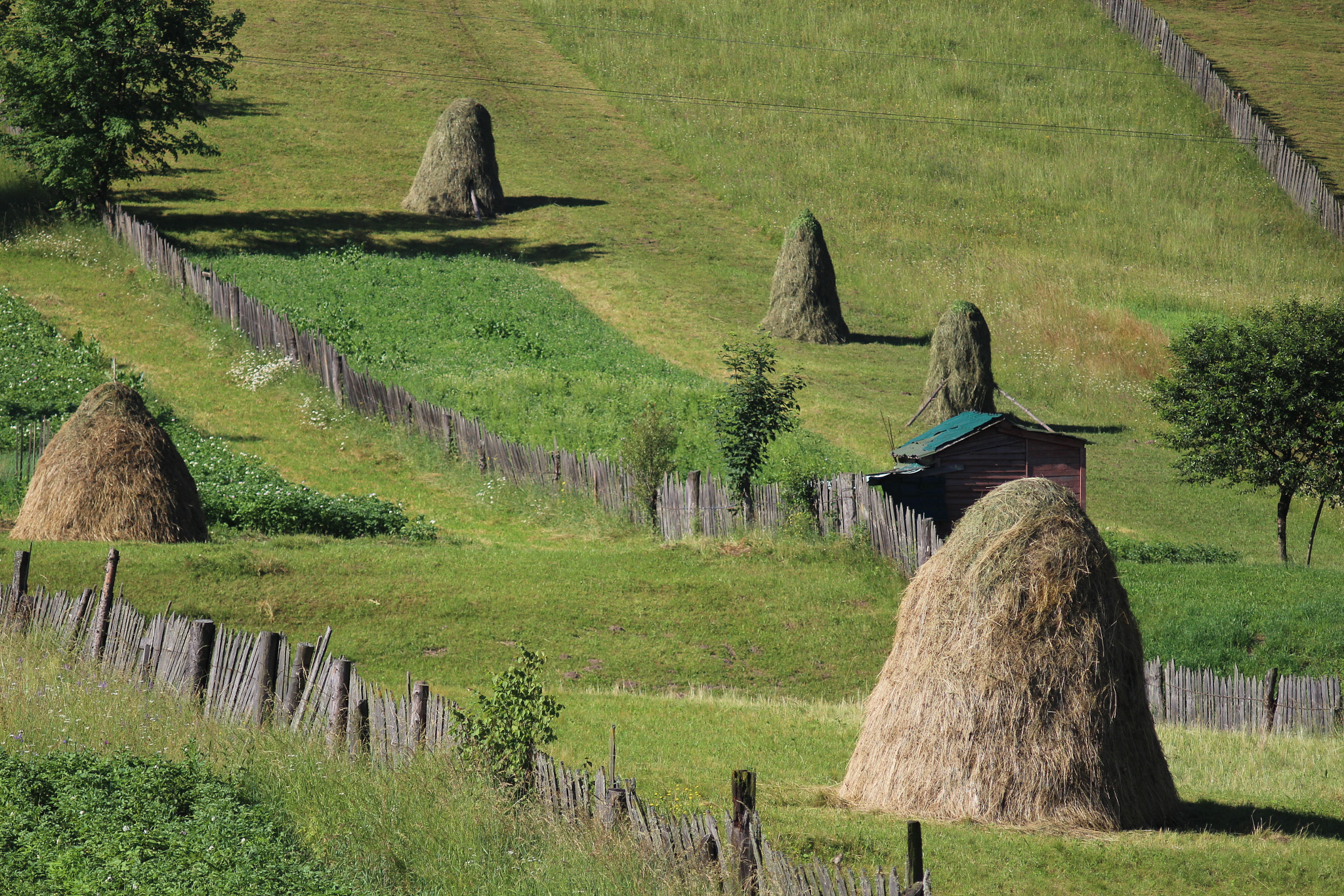Canon EF 35-80mm f/4-5.6 sample photo. Haystack under sunrise photography