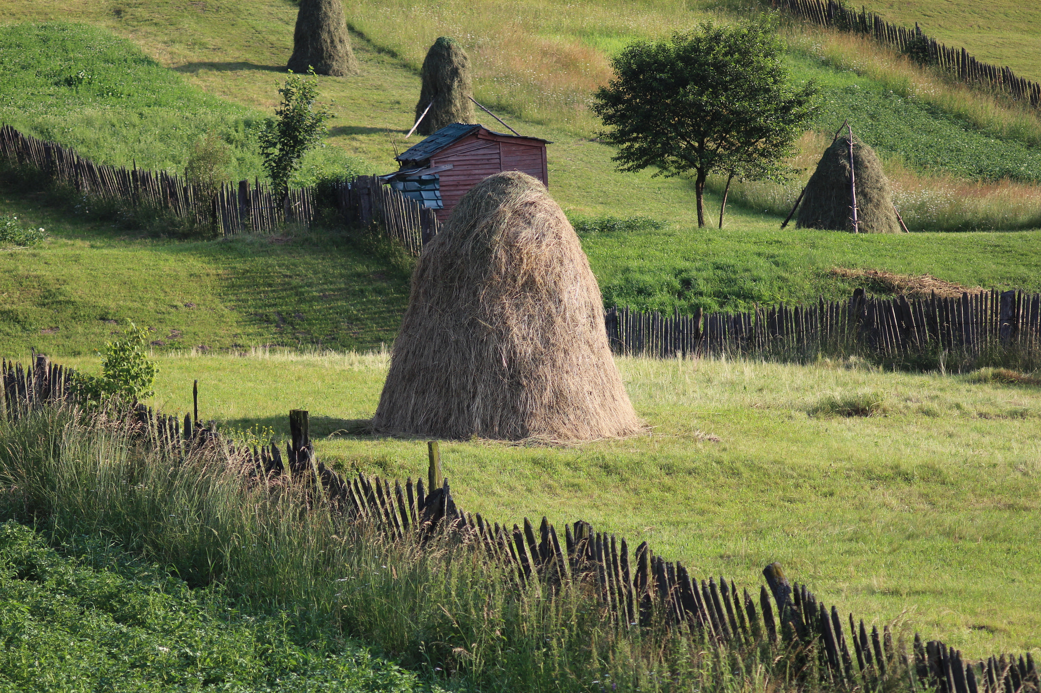Canon EF 35-80mm f/4-5.6 sample photo. Haystack under sunset photography