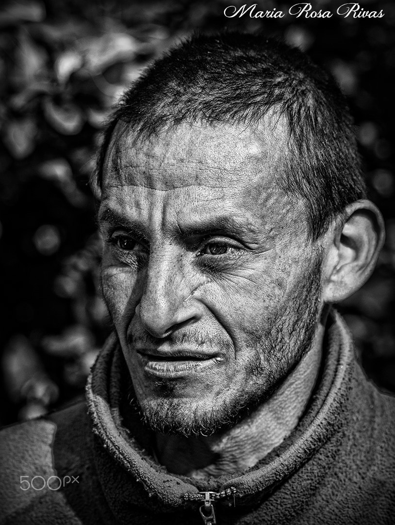 Pentax K10D + Sigma sample photo. Jorgito 1 photography