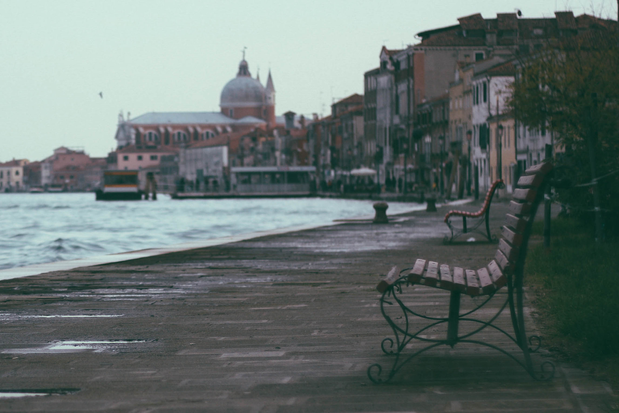 Canon EOS 1000D (EOS Digital Rebel XS / EOS Kiss F) + Canon EF 50mm F1.8 II sample photo. Venice photography