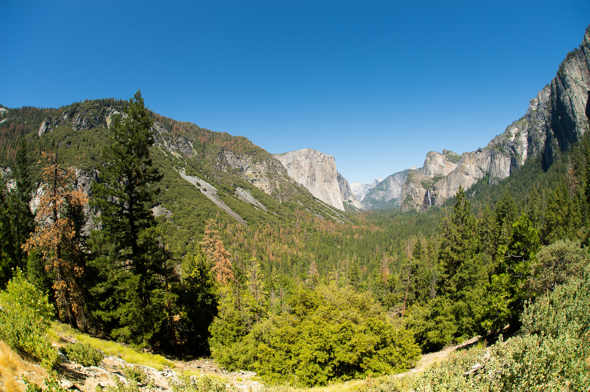 Nikon D4 sample photo. Yosemite national park photography