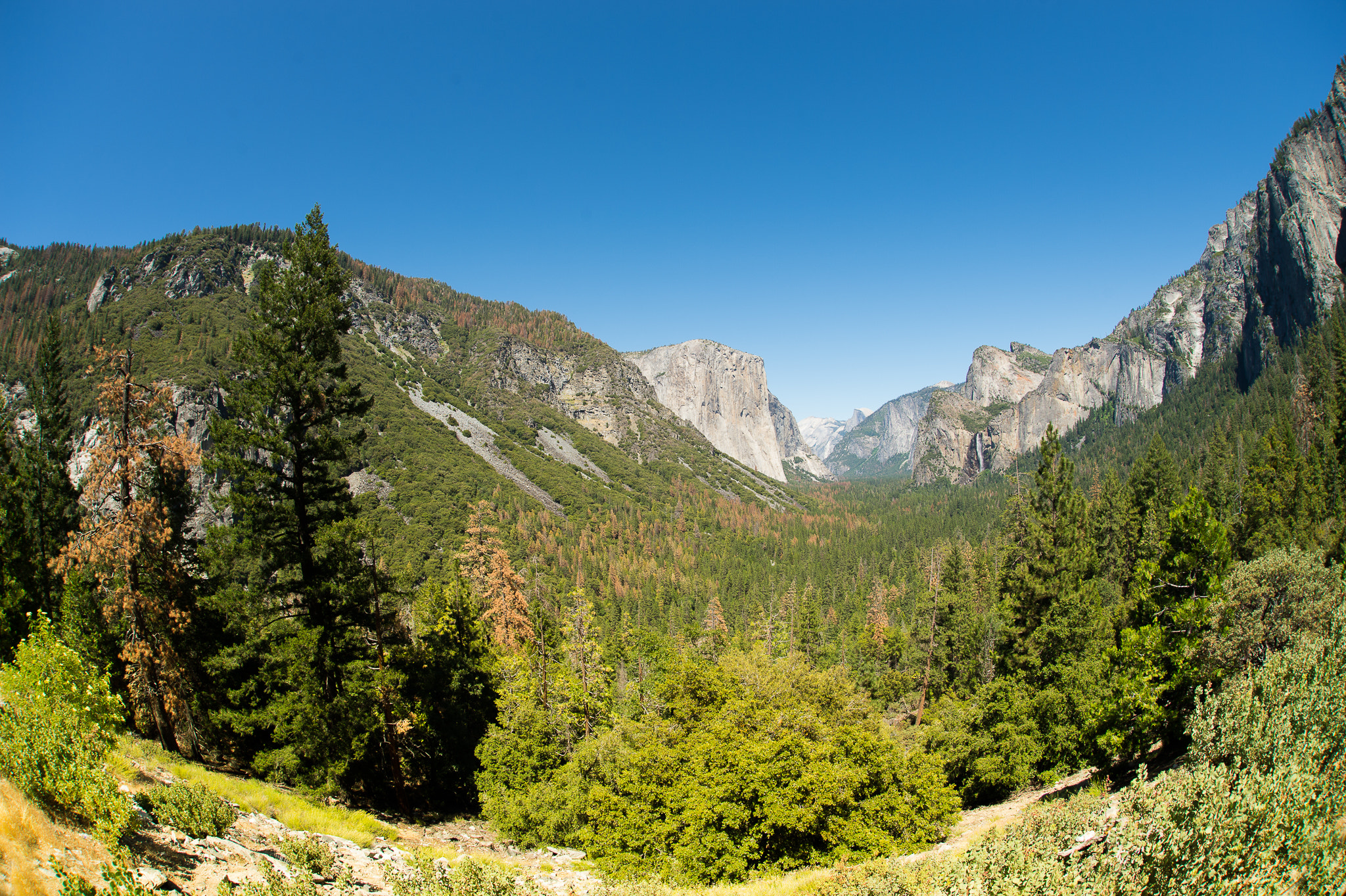 Nikon D4 + Sigma 15mm F2.8 EX DG Diagonal Fisheye sample photo. Yosemite national park photography