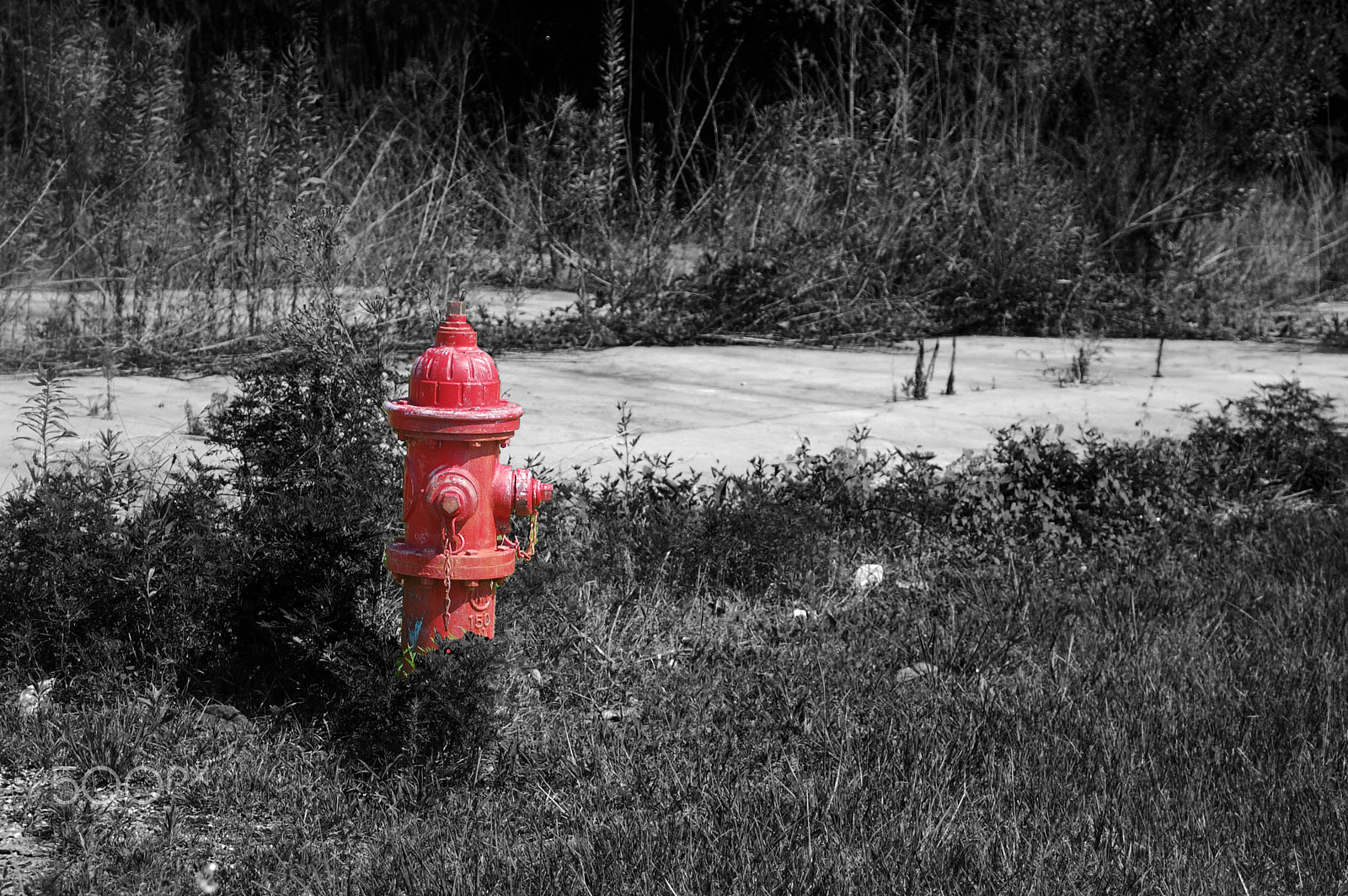 Nikon D40 sample photo. Fire hydrant photography