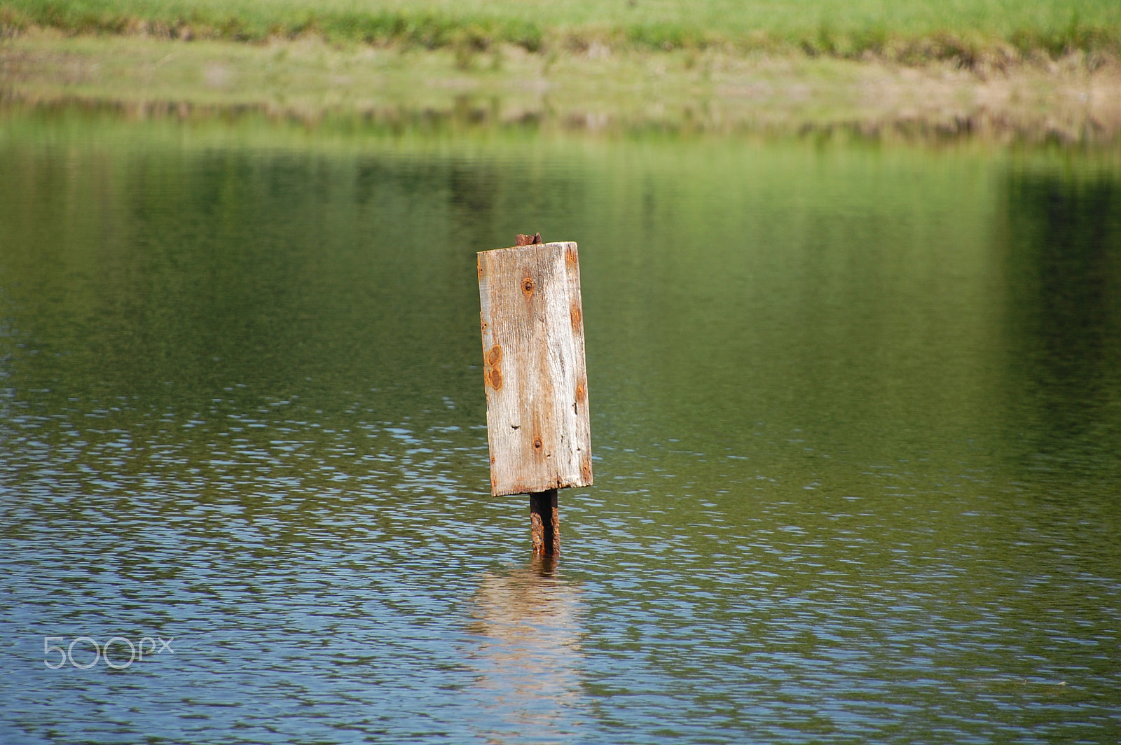 Nikon D40 sample photo. Simple photography