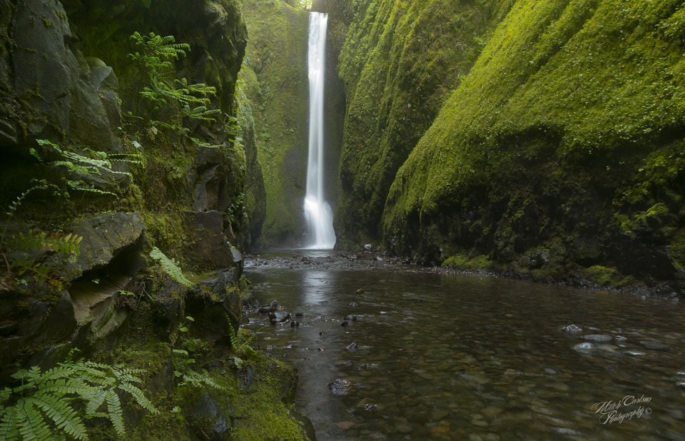 Nikon AF-S Nikkor 18-35mm F3.5-4.5G ED sample photo. Tears from heaven photography