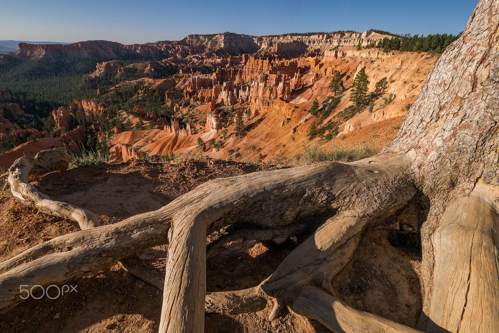 Panasonic Lumix DMC-GX1 + Panasonic Lumix G Vario 7-14mm F4 ASPH sample photo. Bryce canyon national park photography