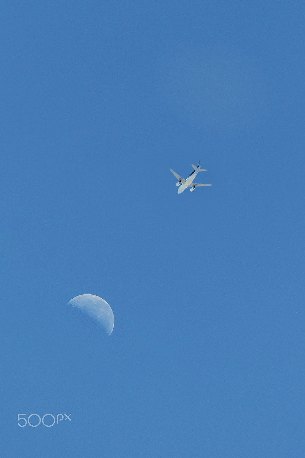Canon EF-S 55-250mm F4-5.6 IS sample photo. Luna photography