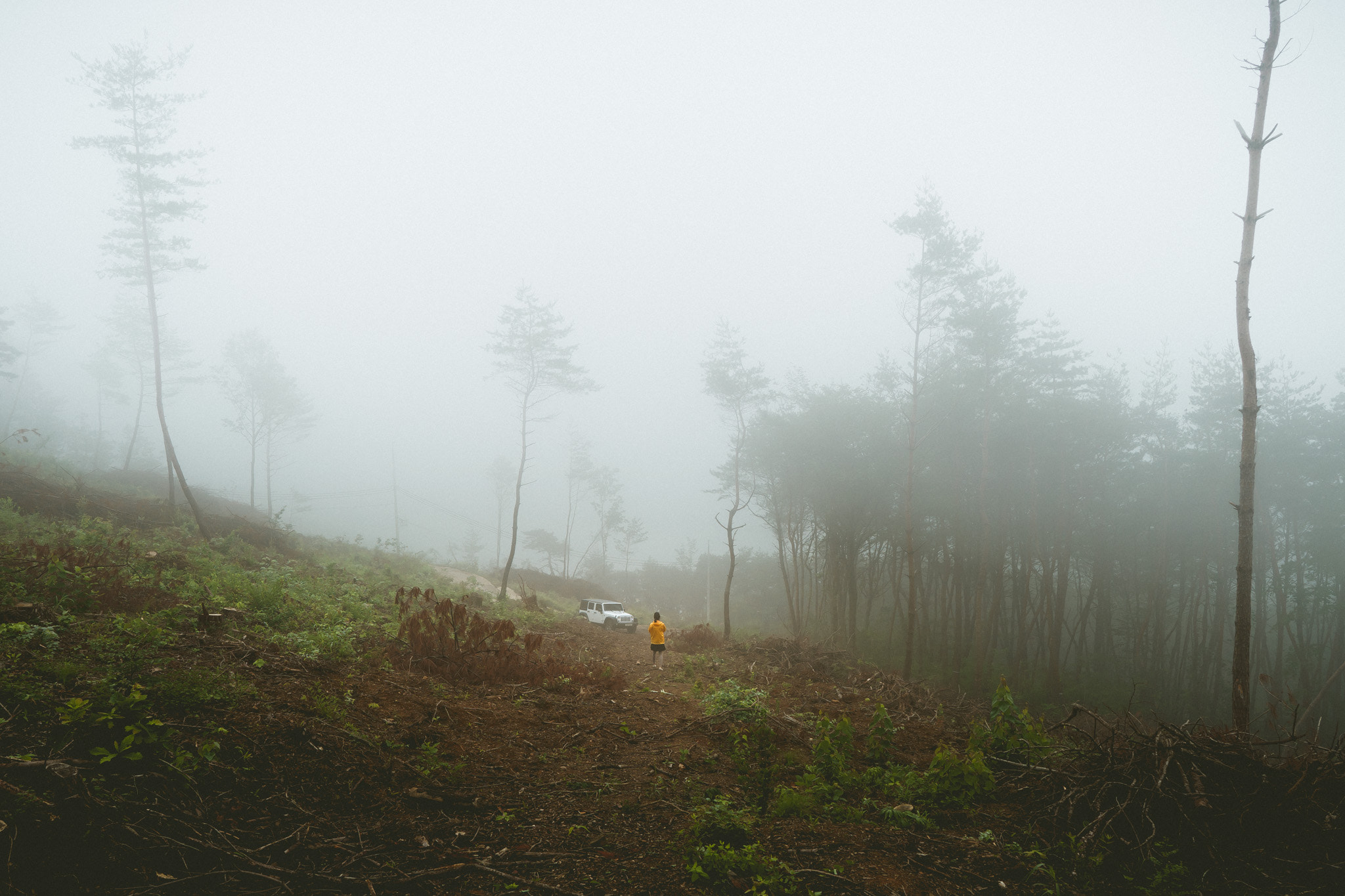 Sony a7 + ZEISS Batis 25mm F2 sample photo. Foggy gangwon-do photography