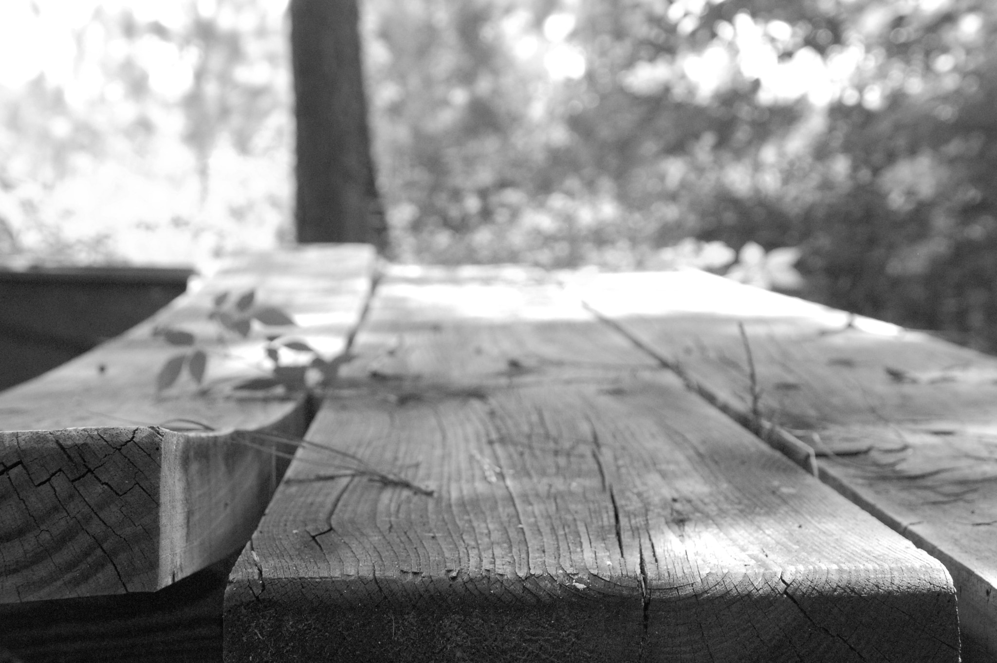 Nikon D40 sample photo. Picnic table photography