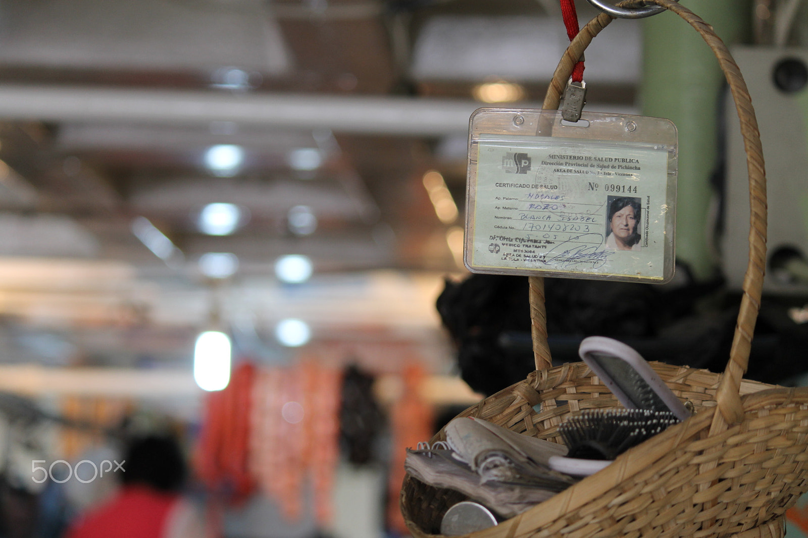 Canon EF-S 55-250mm F4-5.6 IS sample photo. Id photography