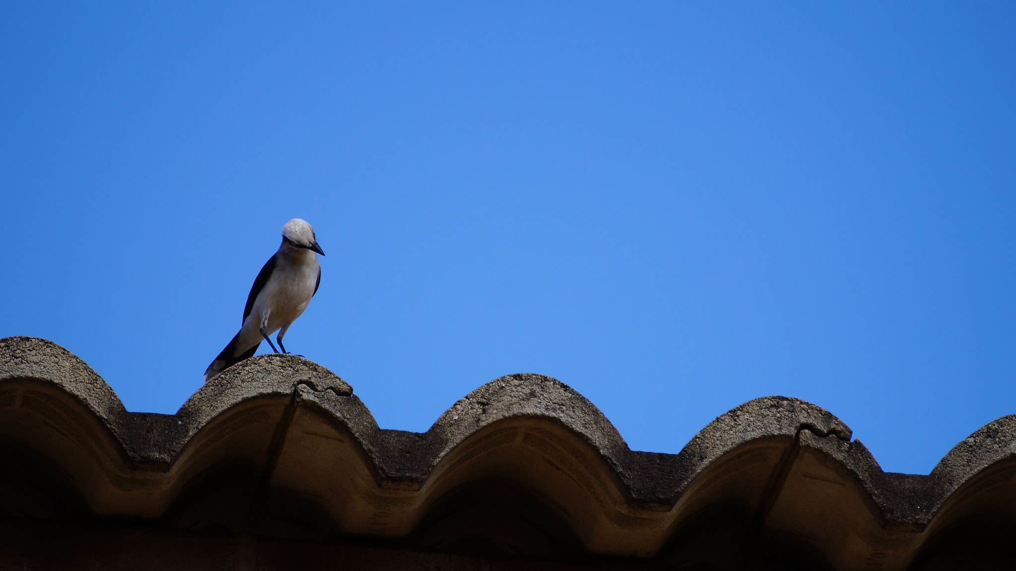 Sony SLT-A37 sample photo. What it's down there? photography