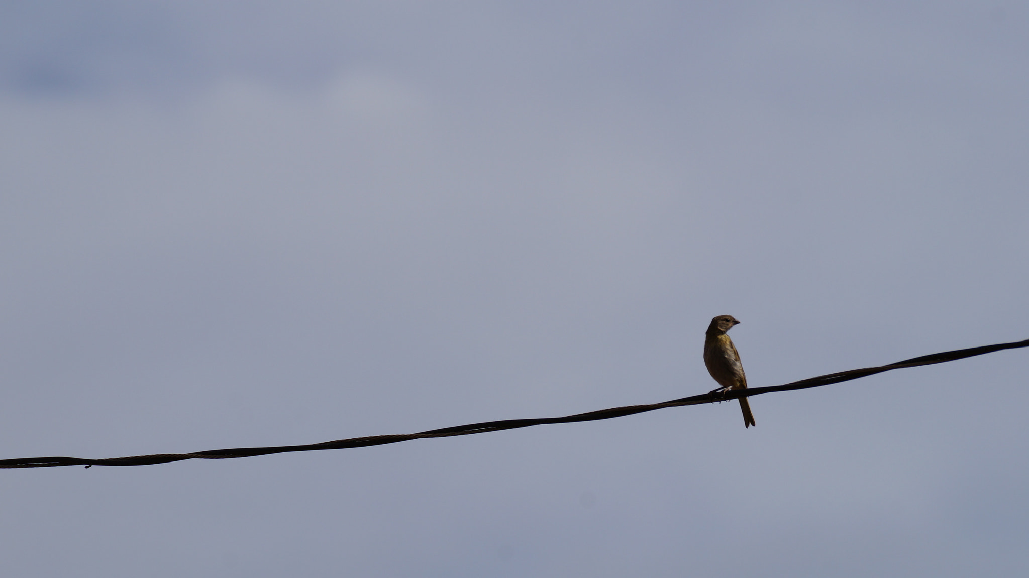 Sony SLT-A37 sample photo. Relaxing photography