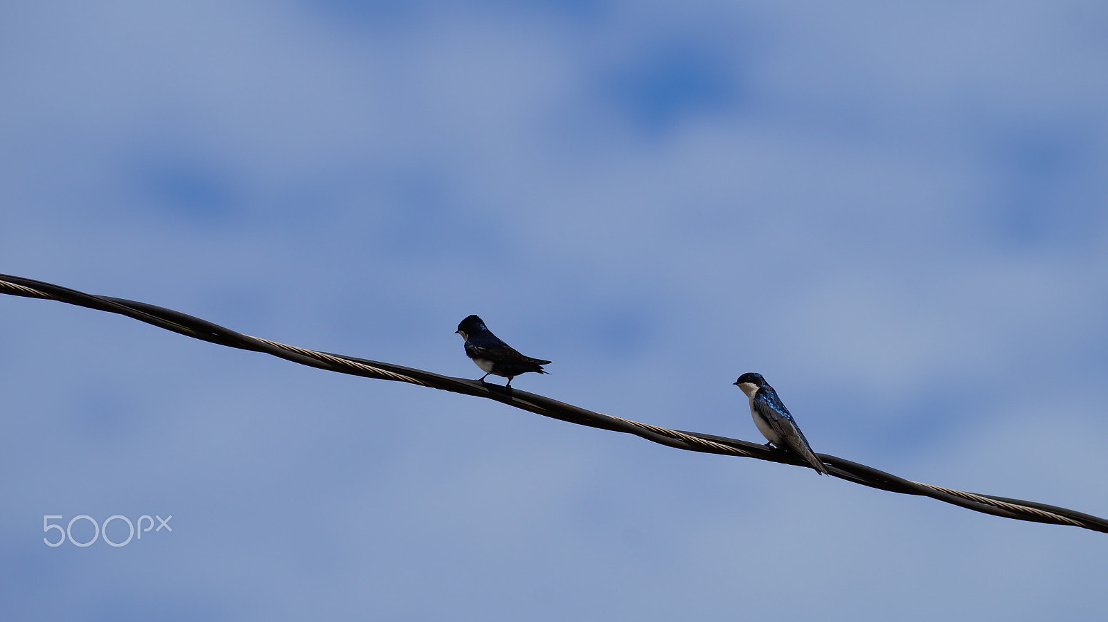 Sony SLT-A37 sample photo. Shades of blue. photography