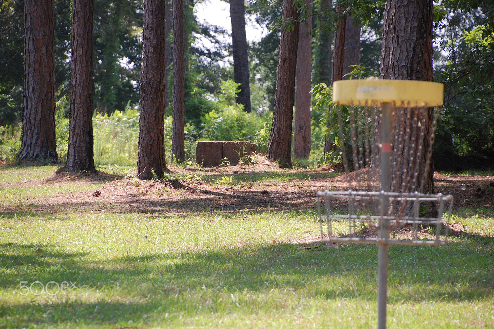 Nikon D40 sample photo. Disc golf two photography