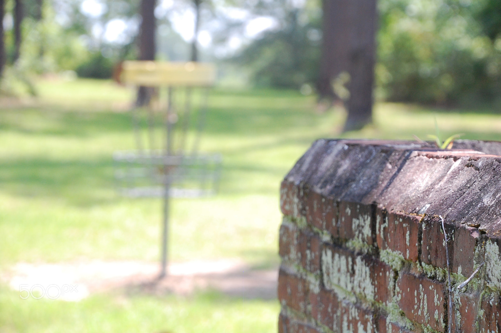 Nikon D40 sample photo. Disc golf w brick photography