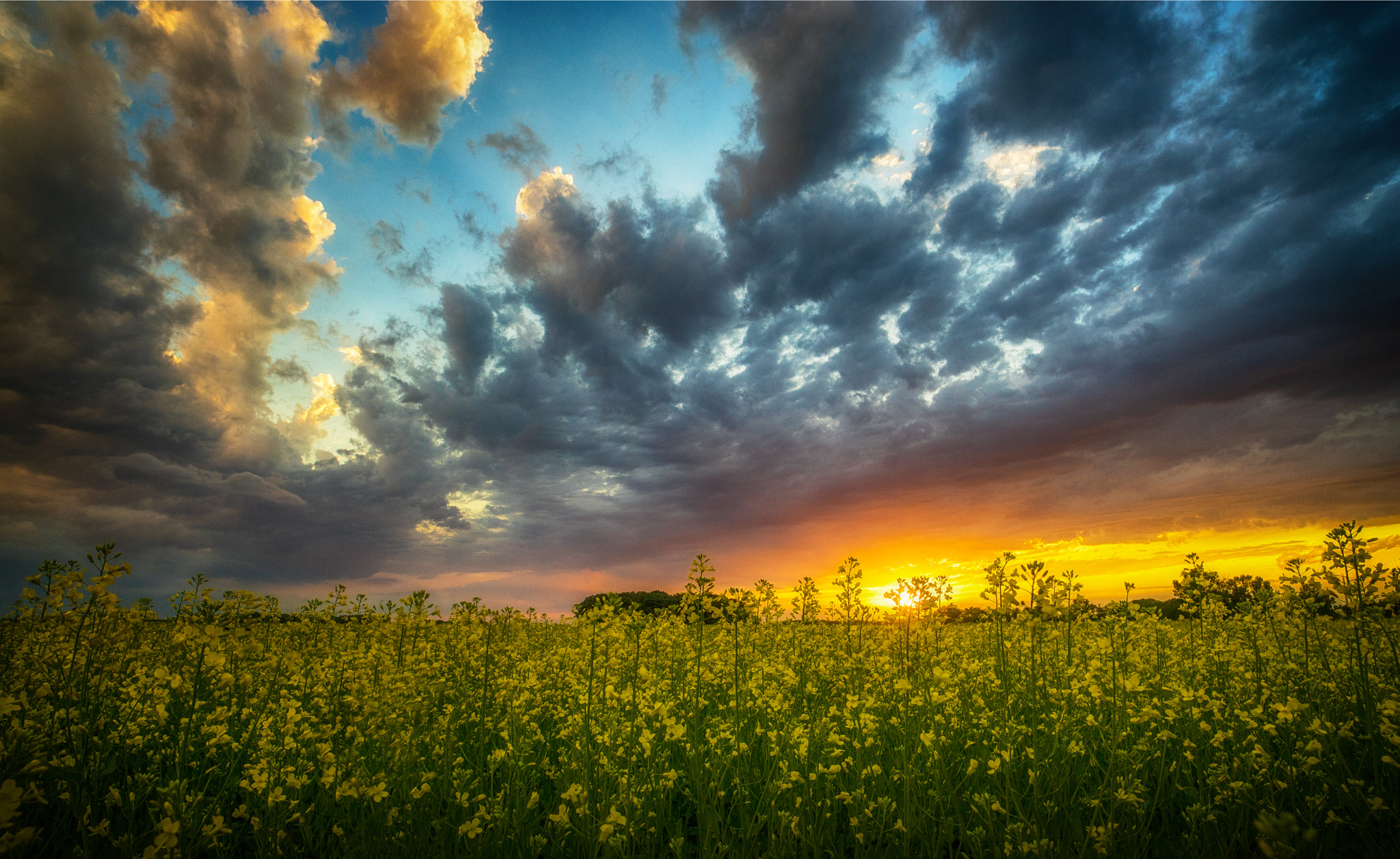 21mm F2.8 sample photo. After the storm photography
