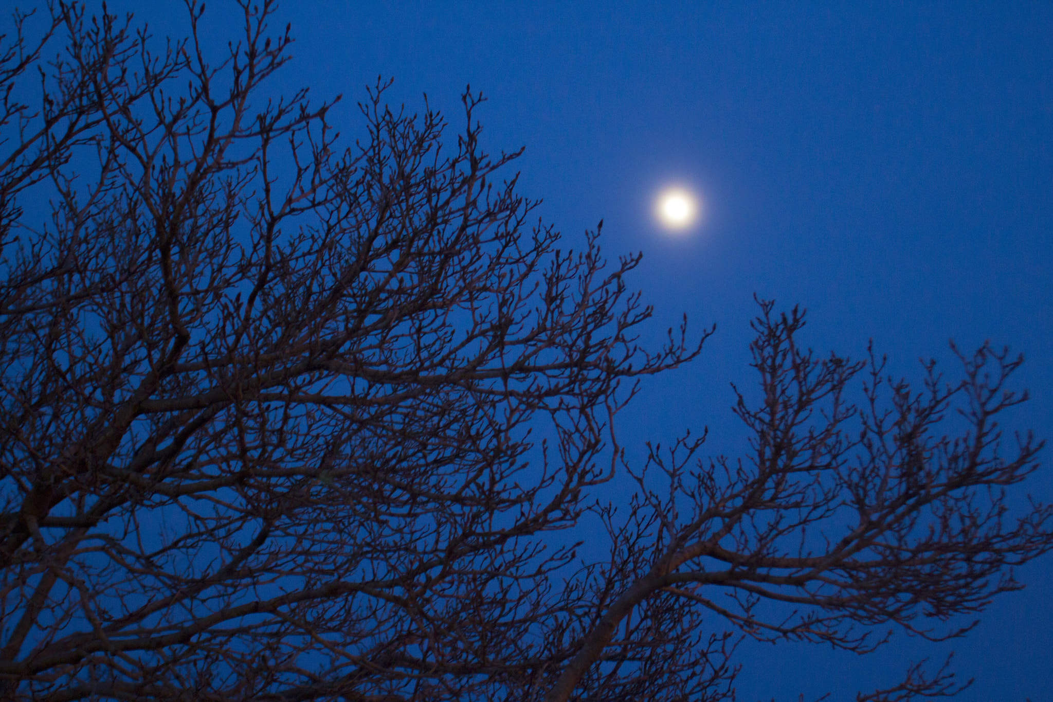 Canon EF 17-35mm f/2.8L sample photo. Dddbf o photography