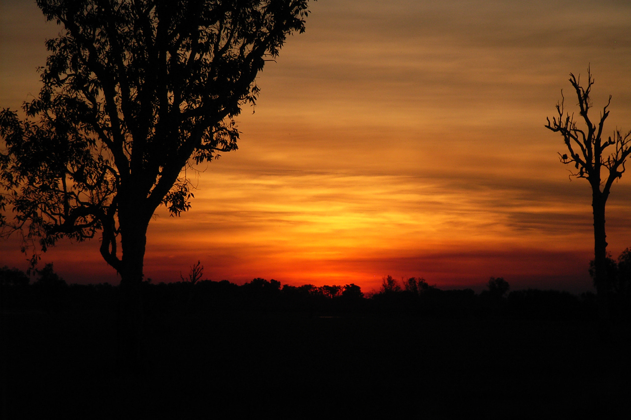 Ricoh Caplio R30 sample photo. Taken in yellow water billabong in northern territory photography
