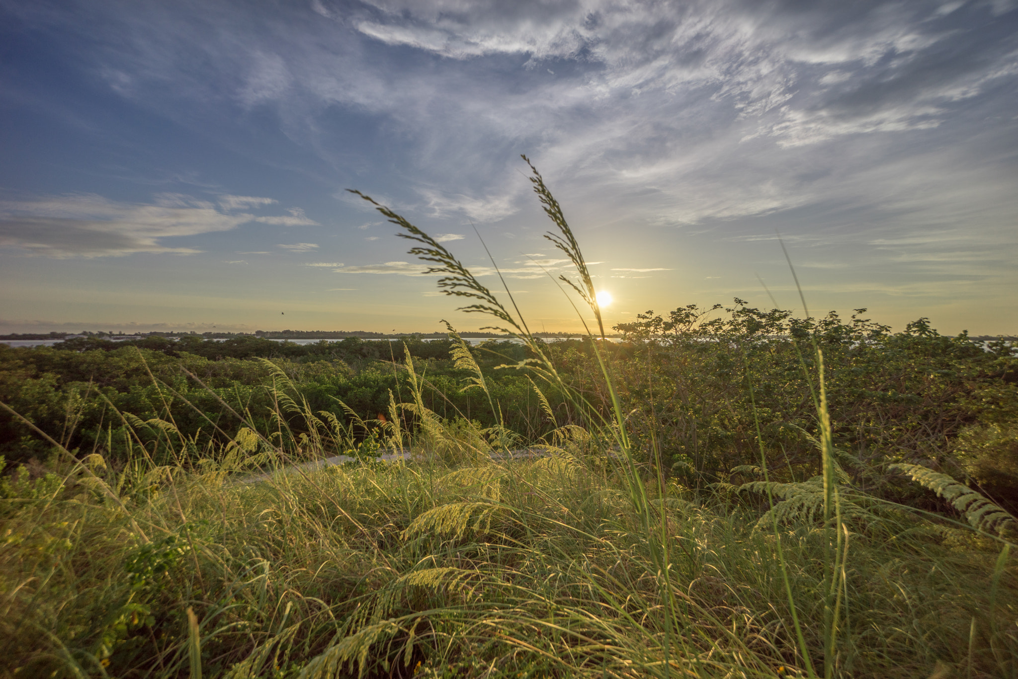 Sony a7R + Sony E 10-18mm F4 OSS sample photo. Leffis key dune photography