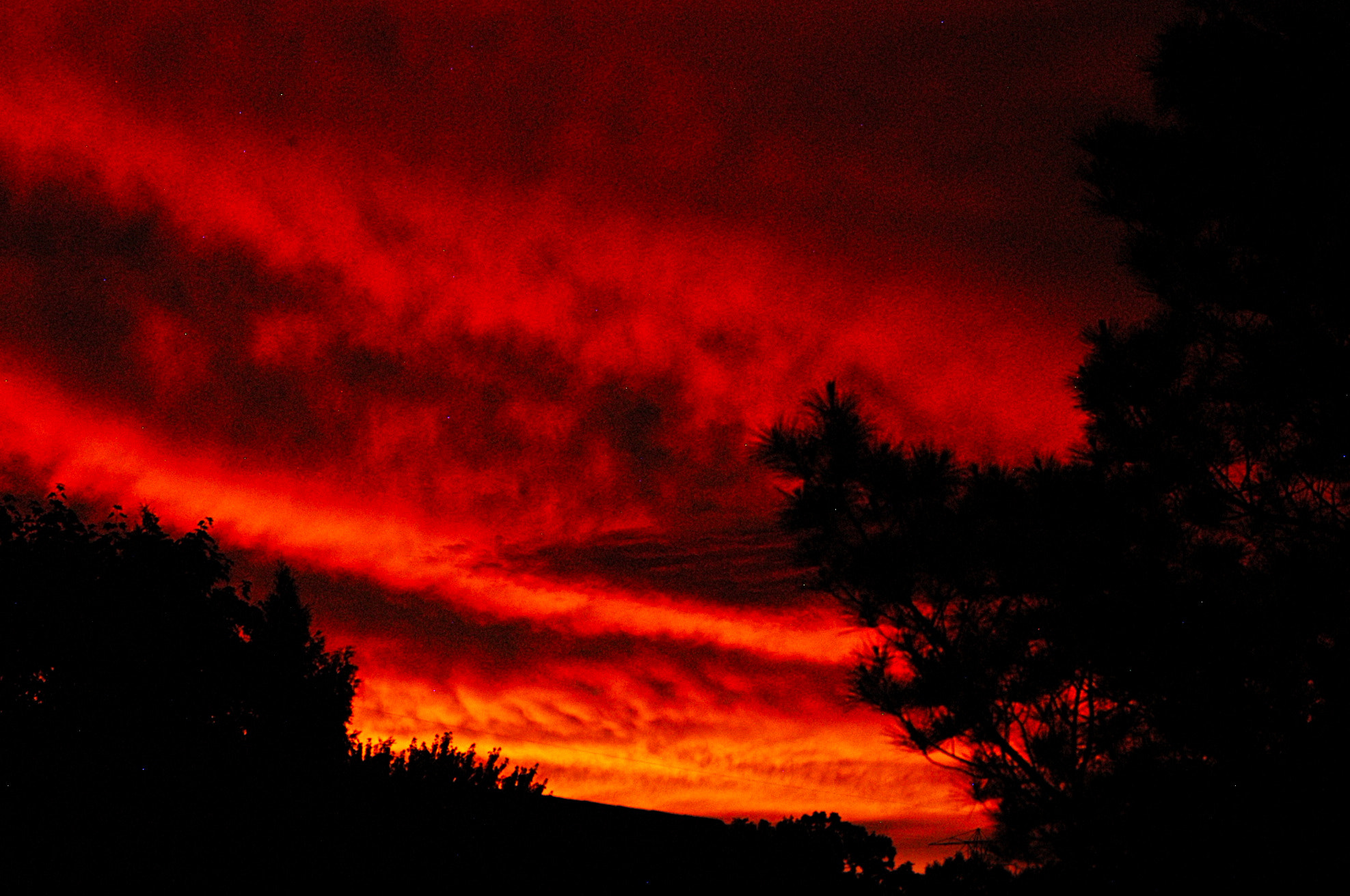 Nikon D100 sample photo. A really nice sunset today! photography