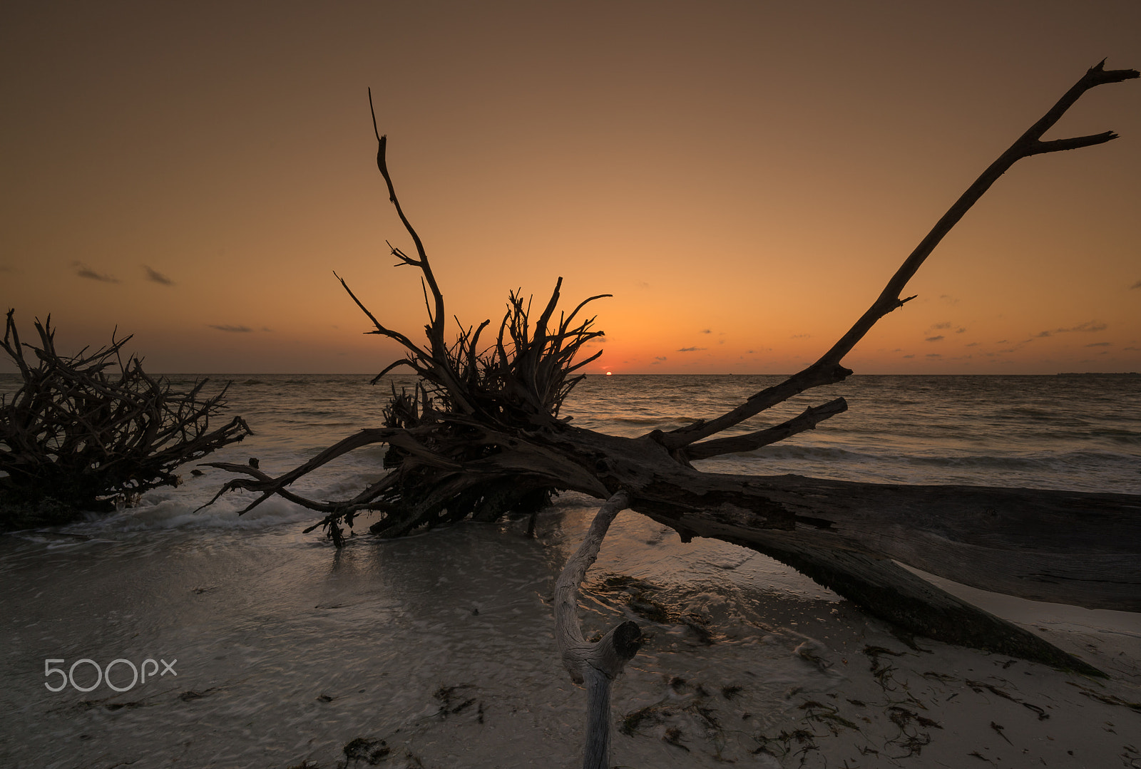Sony a7R II + Voigtlander SUPER WIDE-HELIAR 15mm F4.5 III sample photo. End of the day!!! photography