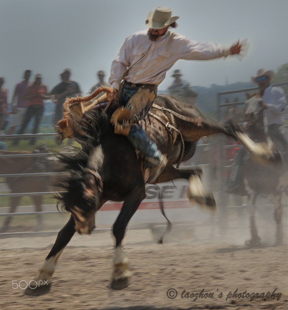 Nikon D3X sample photo. Cowboy photography