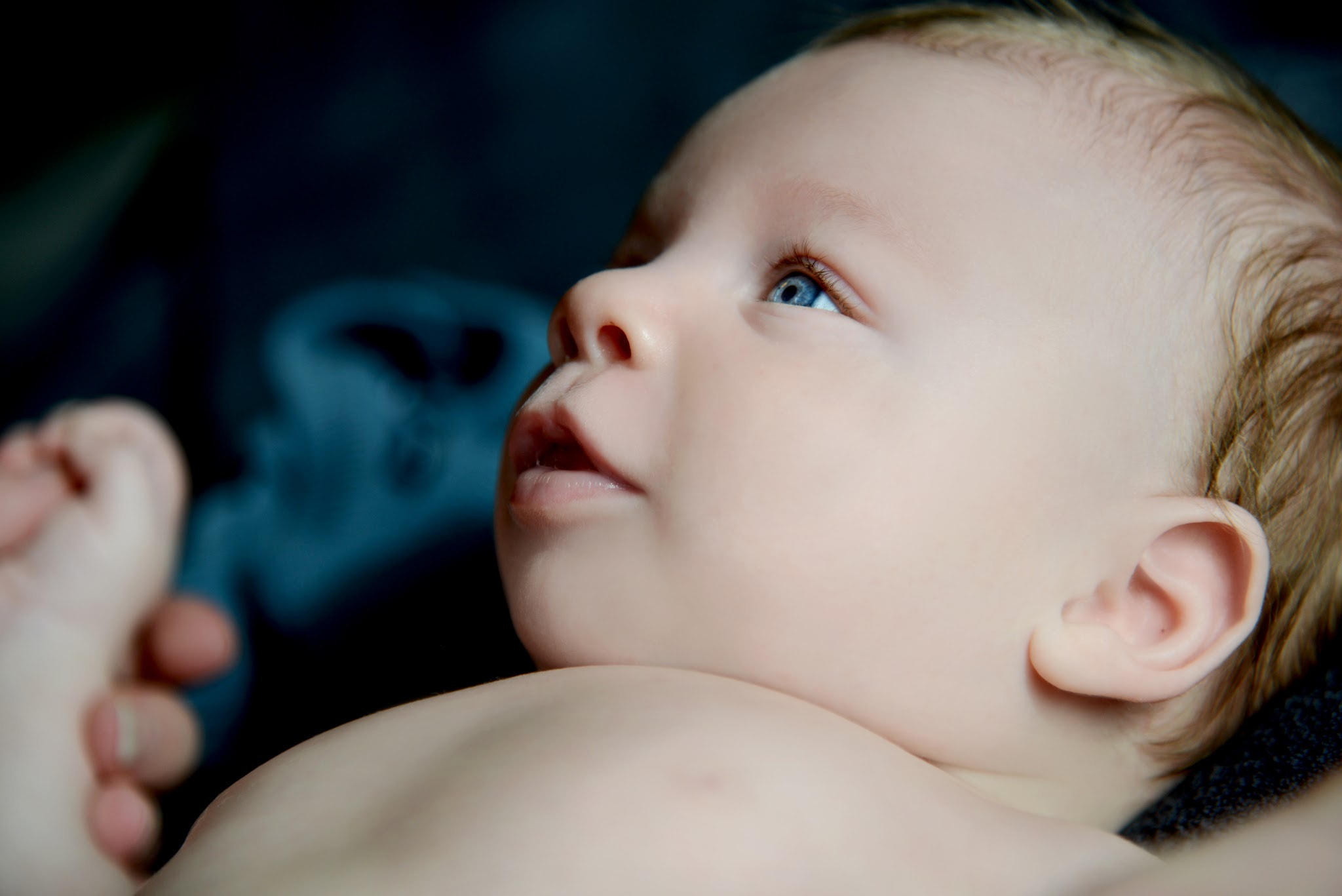 Nikon D800 + Nikon AF-S Nikkor 24mm F1.8G ED sample photo. Bryn new born photography