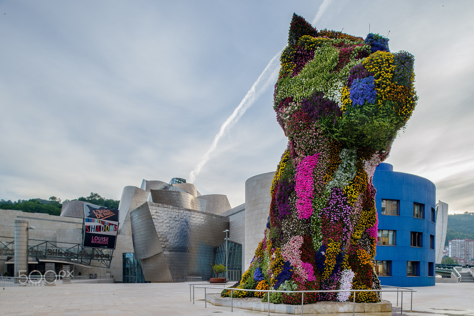 Nikon PC-E Nikkor 24mm F3.5D ED Tilt-Shift sample photo. Puppy photography
