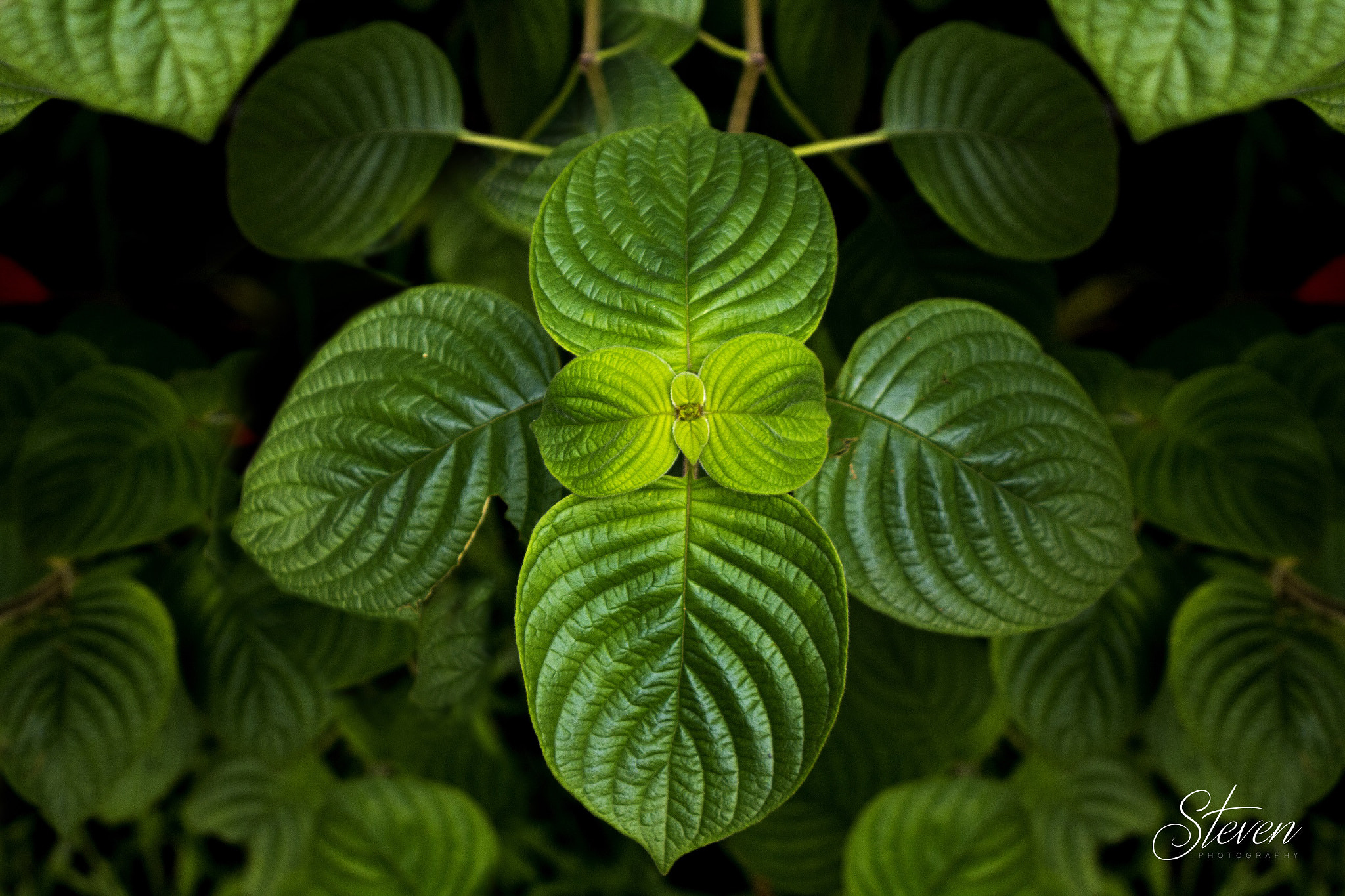 Canon EF 28-105mm f/3.5-4.5 USM sample photo. Contrast photography