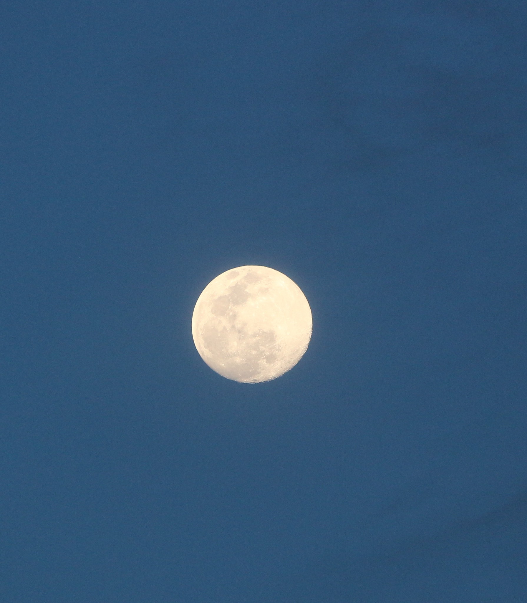 Canon EF-S 55-250mm F4-5.6 IS II sample photo