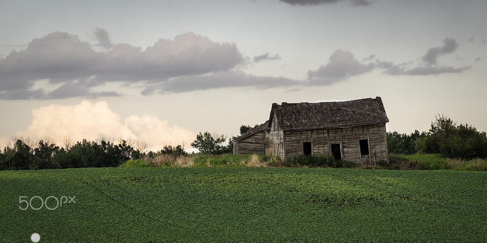 Olympus OM-D E-M1 sample photo. Abandoned photography