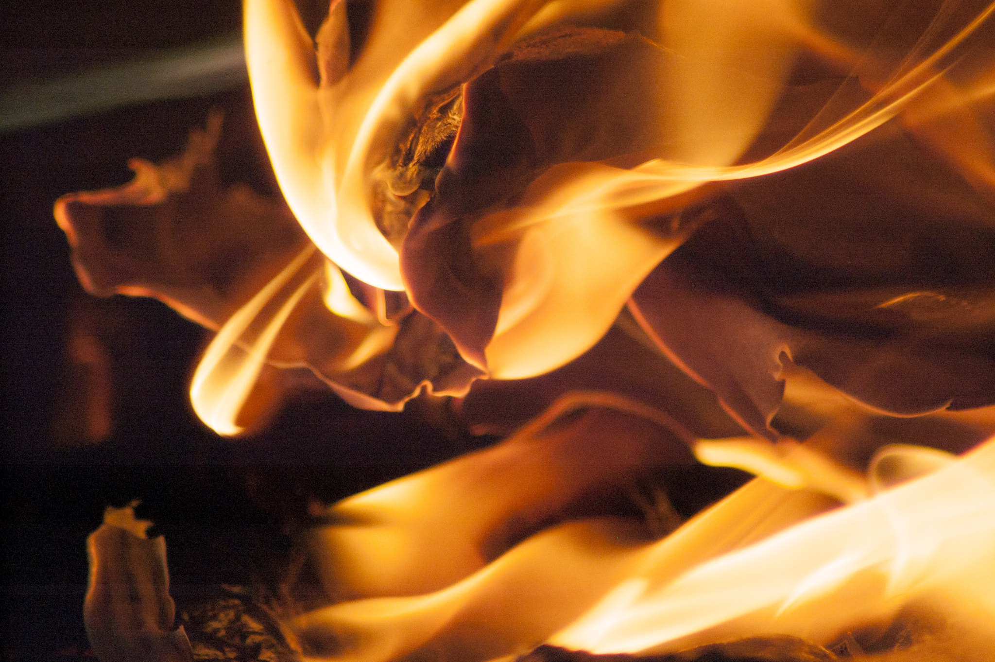 Nikon D50 sample photo. Fire photography