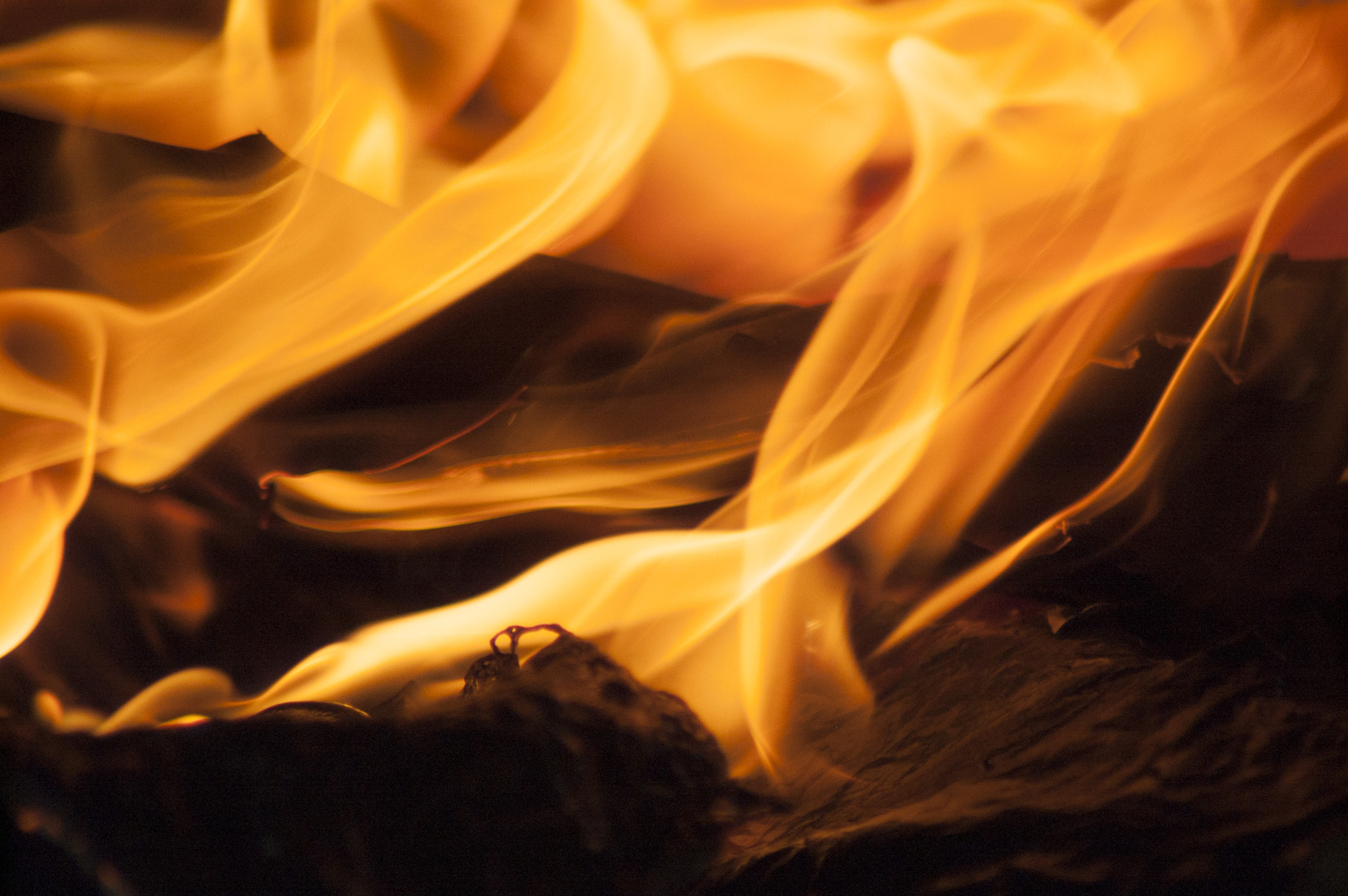 Nikon D50 sample photo. Fire photography