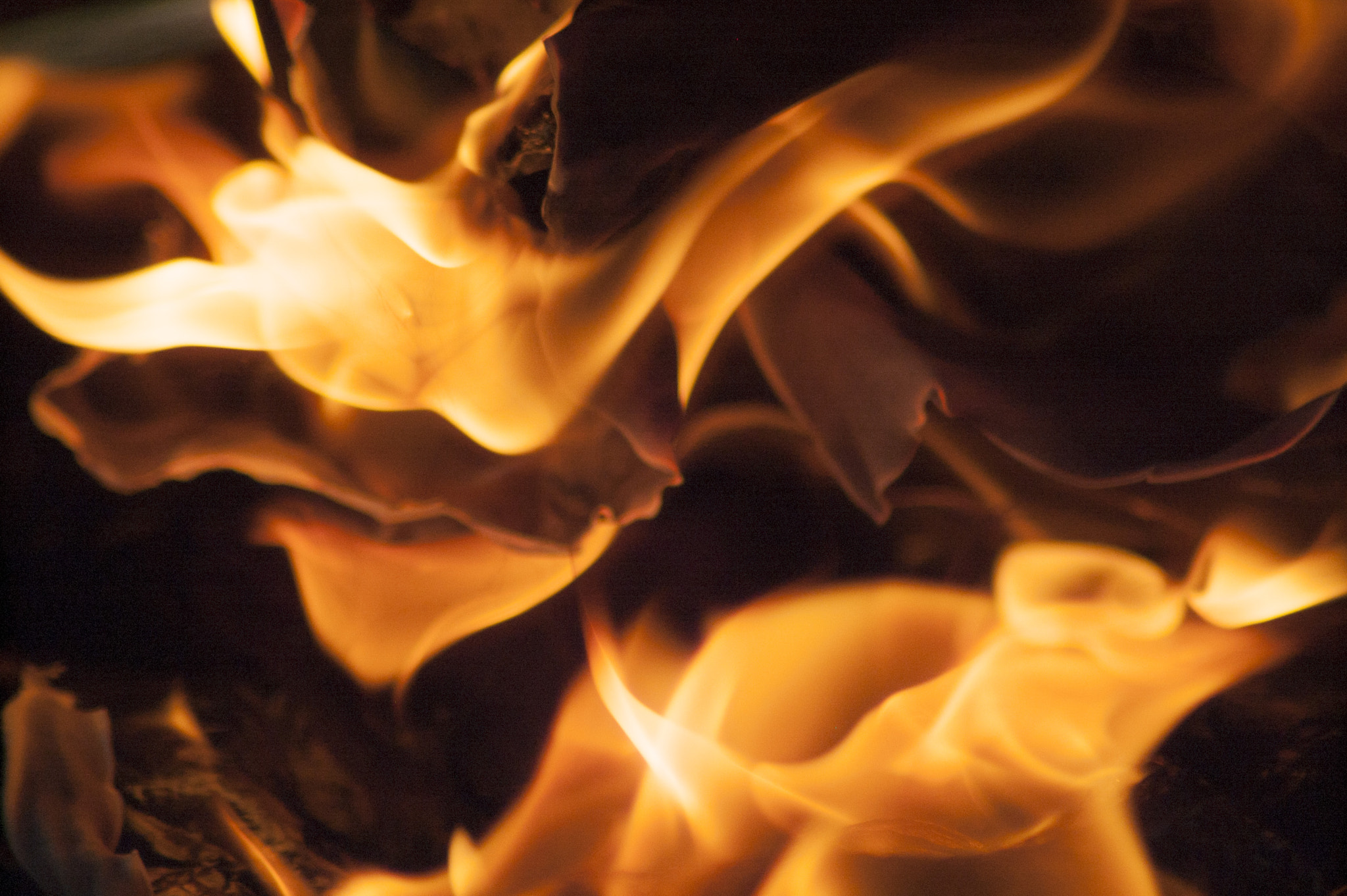 Nikon D50 sample photo. Fire photography