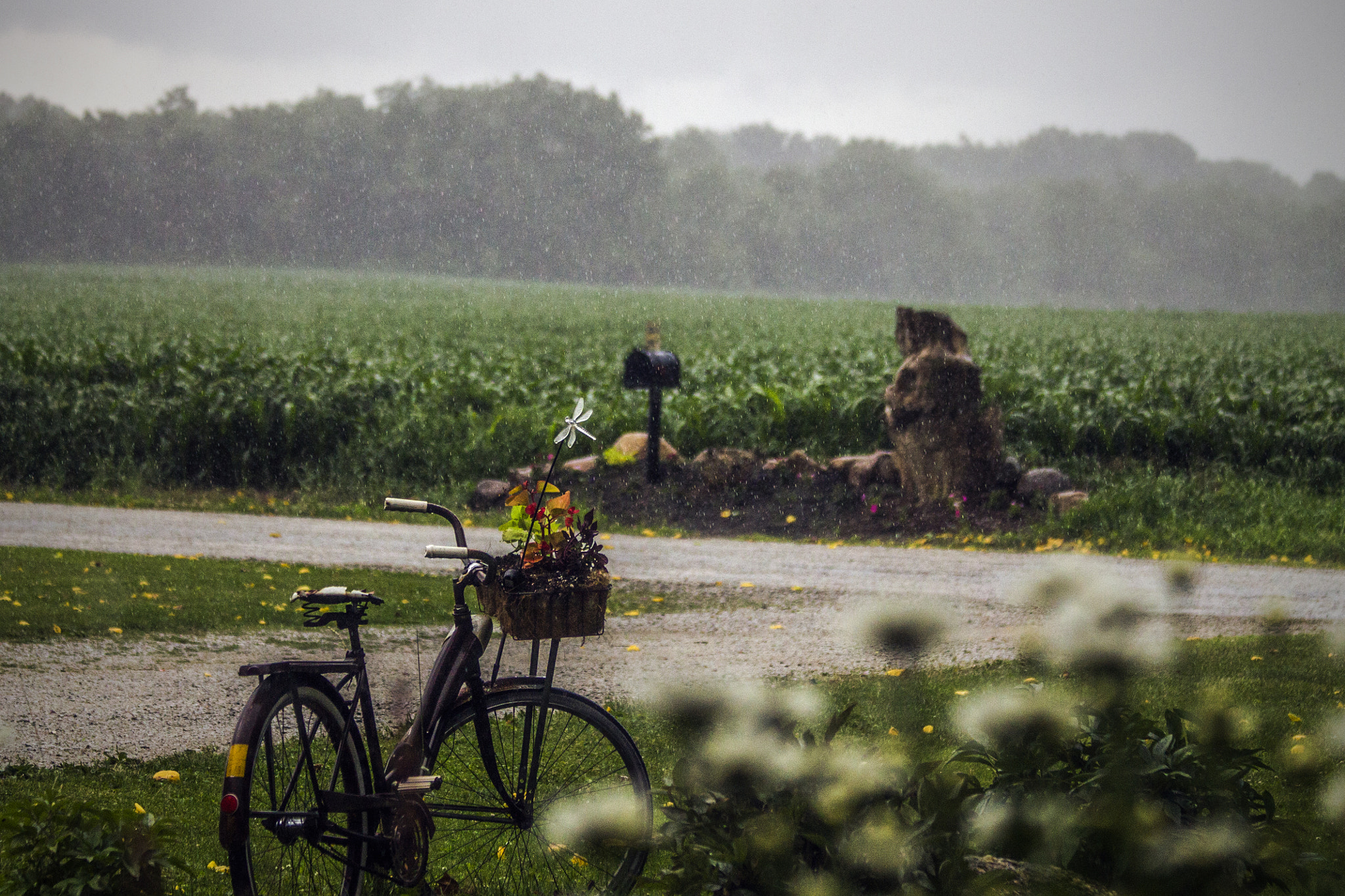 Canon EF 70-300mm F4-5.6 IS USM sample photo. Bicycle in the rain photography